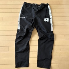 RIZINセットアップ
