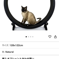 キャットホイール キャットトラック エクササイズホイール