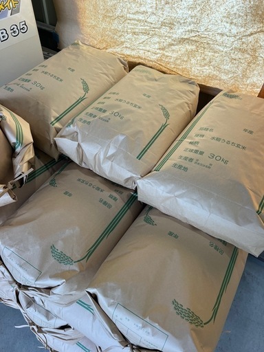 新米キヌヒカリ 玄米30kg 令和6年産 兵庫県産