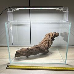 （水槽と照明のみ取引中、流木は販売可）ADA製３６ｃｍ水槽＋LED照明＋流木セット