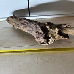 （水槽と照明のみ取引中、流木は販売可）ADA製３６ｃｍ水槽＋LED照明＋流木セット