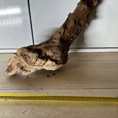 （水槽と照明のみ取引中、流木は販売可）ADA製３６ｃｍ水槽＋LED照明＋流木セット