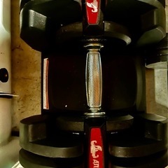 可変式ダンベル40k✖️2