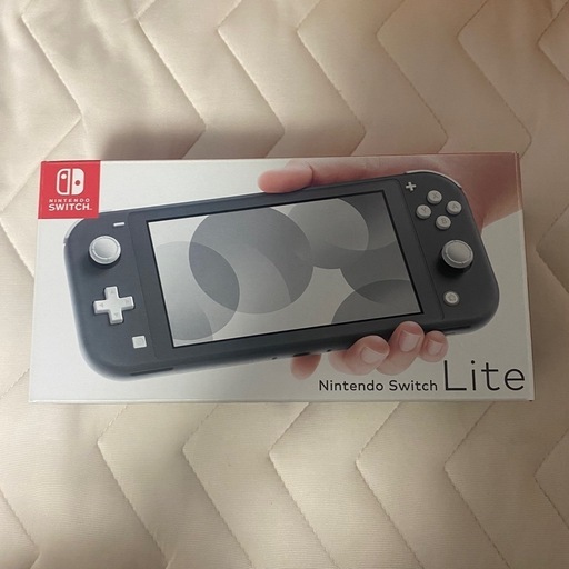 ニンテンドーSwitch light グレー(箱あり、充電器あり、保護フィルム貼付済、別売の透明保護カバー付)