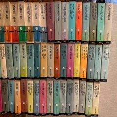 筑摩現代文学体系