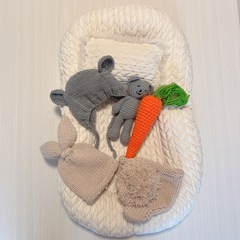 GW引き取り価格】ニューボーンフォト土台機材のみ