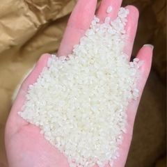 令和6年度米 新米　虹のきらめき米 白米　美味しい米役28キロ　12000円　