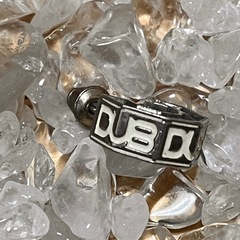 ♥️♥️DUB✨silver925  片耳ピアス