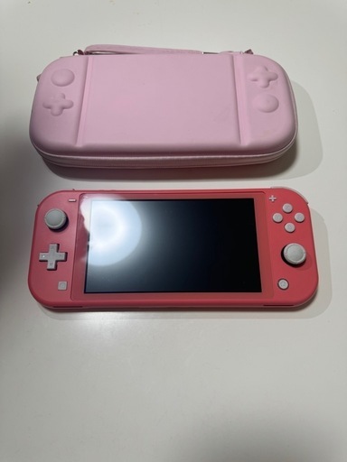 Switch light 本体