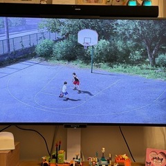テレビ Sony 46インチ
