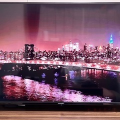 【使用期間6ヶ月】50インチ 4K 大型液晶ディスプレイ
