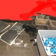 最終出品！ヘラクレス幼虫➕飼育用品大量出品！！