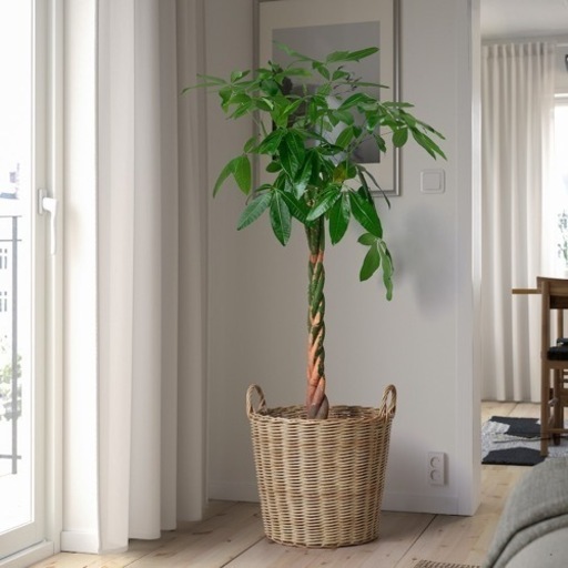 IKEA 植木鉢　プラスチックラタン　２つ