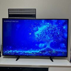 50V 地上・BS・110度CSデジタルフルハイビジョン液晶TV J50SK01