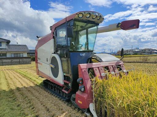 【中米】令和６年新米 30kgコシヒカリ