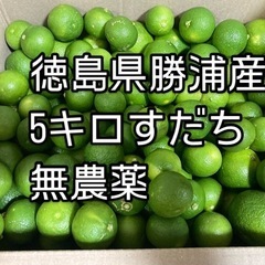 徳島県勝浦産 すだち 5キロ 無農薬