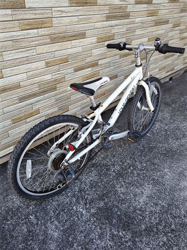 マウンテンバイク 子供用自転車 ルイガノ MTB 3×6段変速 270MM LOUIS 