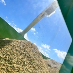 新米　富山県産　新米　コシヒカリ