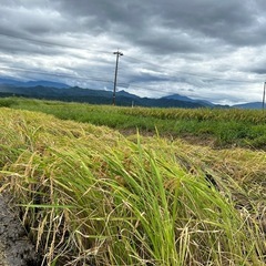 新米　富山県産　新米　コシヒカリ