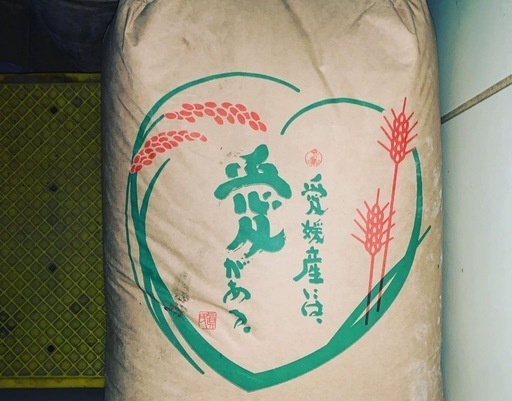 玄米３０ｋｇ【ゆめのまい】