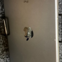 【iPad mini5】 第5世代 64GB Wi-Fi+Cellular