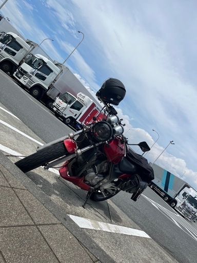 その他 XELVIS250