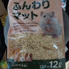 小動物用床敷材🐹