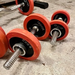 《売約済》【武蔵小山店】LEADING EDGE インクラインベンチ IROTEC アイロテック ラバーダンベル プレート 5KGx6 2.5KGx8 1.25KGx8 ダンベルシャフト4本 EZバー 1本 セット販売 ダンベル 筋トレ トレーニング 鉄アレイ 可変式