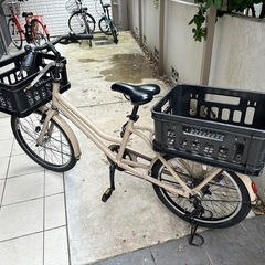 ブリヂストン TOTEBOXトートボックスラージTTB43T 1C96AB0　