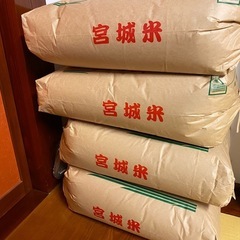 残り3袋　お米　令和5年度産　コシヒカリ玄米