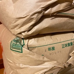 残り3袋　お米　令和5年度産　コシヒカリ玄米