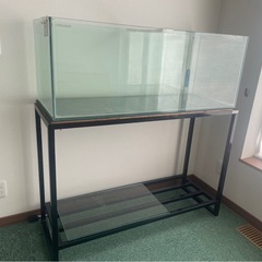 【緊急値下1万4000円引き】大きい水槽