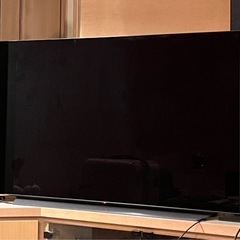 4Kチューナー内蔵 有機EL OLED48A2PJA 現金なら5000円引き