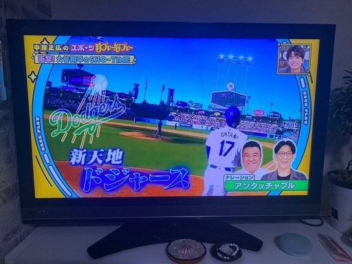 プラズマテレビ HITACHI L42-XP05 Wooo