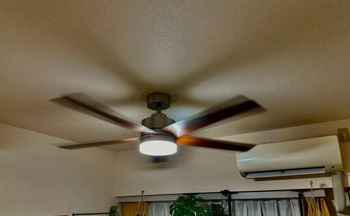 シーリングファンライト Ceiling Fan light 52 inch.