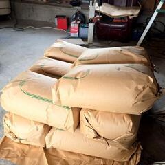 令和6年度産新米キヌヒカリ30kg玄米