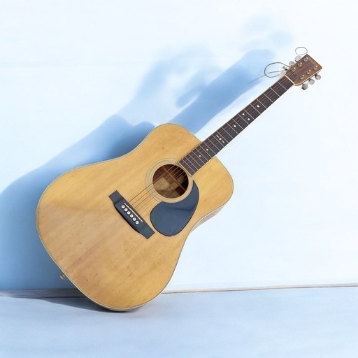 Cat’s Eyes CE-250 キャッツアイ アコースティックギター