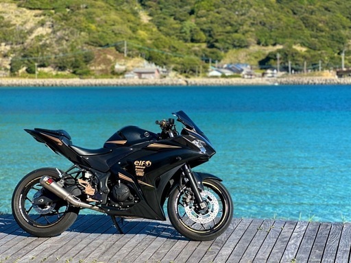 hani様 yzf-r25