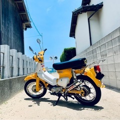 整備済】【最終値下】 リトルカブ50