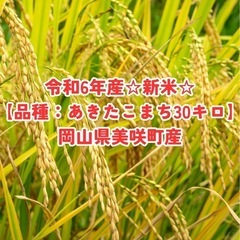 ☆新米☆令和6年産☆あきたこまち☆30キロ
