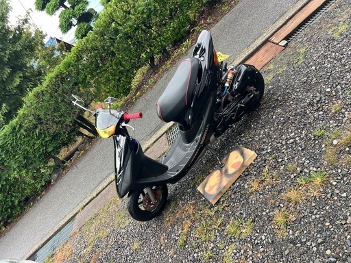 リーディオ100　ライブディオZX