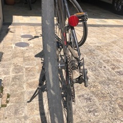 ロードバイク　軽くて快適　女性から大人まで乗れるサイズです