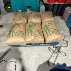 2024年度 岩見沢産 ゆめぴりか玄米