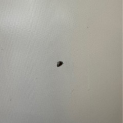 I0903 ハイアール 冷蔵庫 2ドア 2021年 130L 