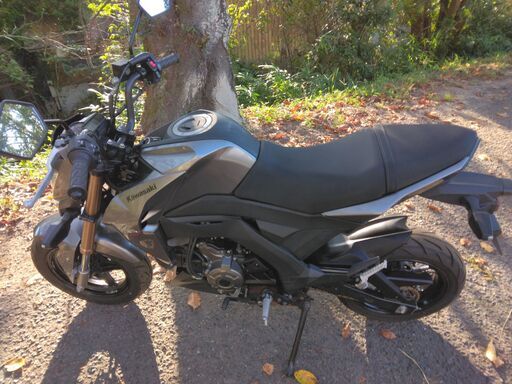 カワサキ Z125PRO