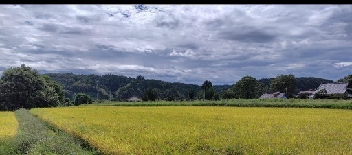 ［割引有]富山県産 新米コシヒカリ お米 30キ