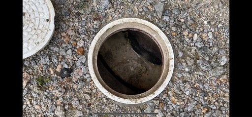 排水管油詰まり