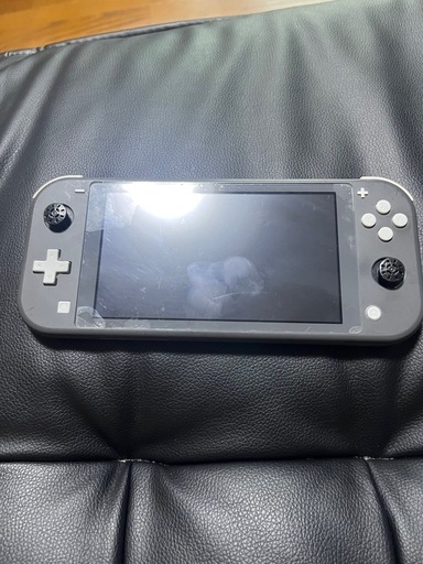 その他 Nintendo Switch light