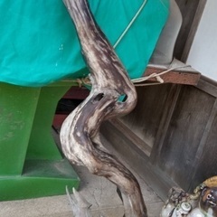 昭和54年 龍のオブジェ