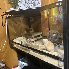 90cm 爬虫類ケージ